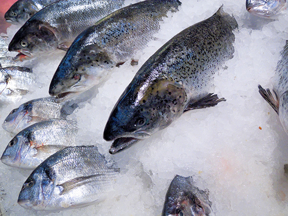 pesce-fresco-branzino.jpg